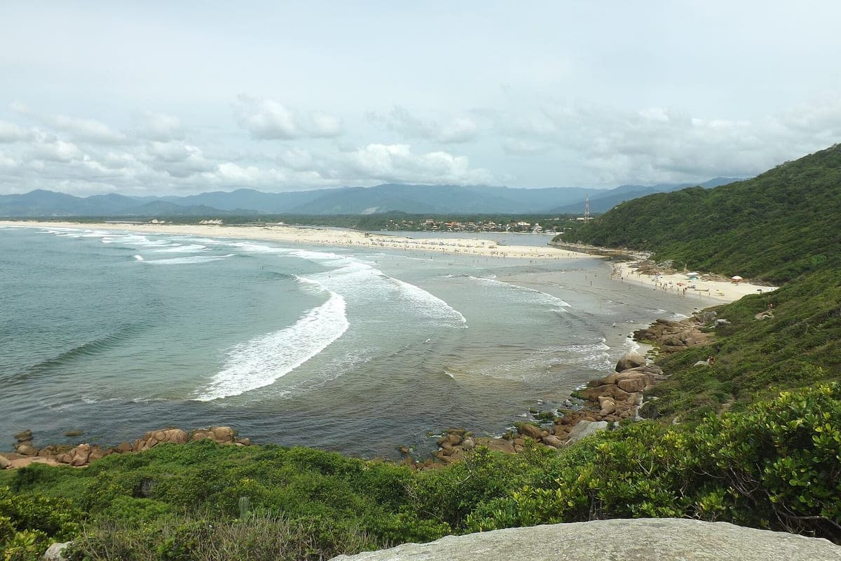 A praia da Guarda do Embaú vista do alto do morro, com a faixa de areia em curva e a linha da onda